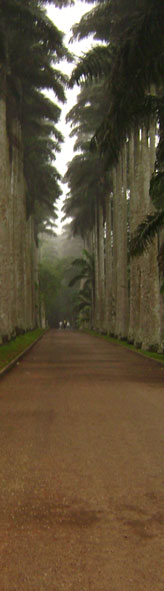 Aburi Gardens